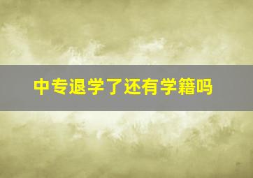 中专退学了还有学籍吗