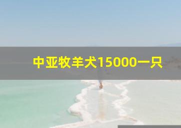 中亚牧羊犬15000一只