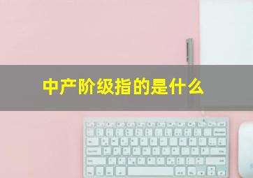 中产阶级指的是什么