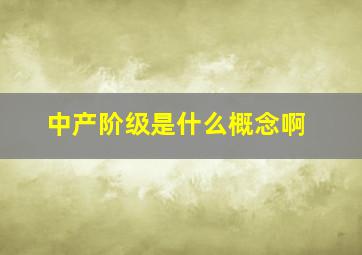 中产阶级是什么概念啊