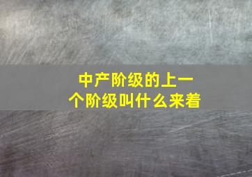 中产阶级的上一个阶级叫什么来着