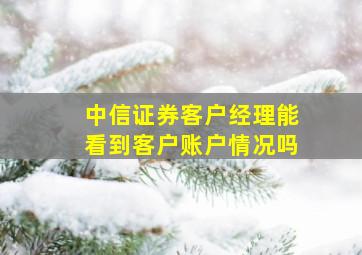 中信证券客户经理能看到客户账户情况吗