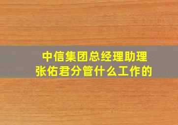 中信集团总经理助理张佑君分管什么工作的