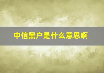 中信黑户是什么意思啊