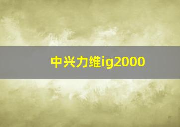 中兴力维ig2000