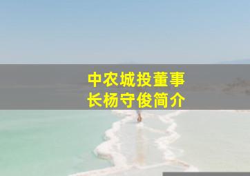 中农城投董事长杨守俊简介