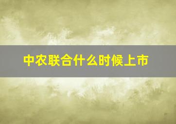 中农联合什么时候上市