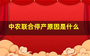 中农联合停产原因是什么