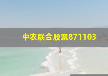 中农联合股票871103