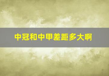 中冠和中甲差距多大啊