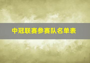 中冠联赛参赛队名单表