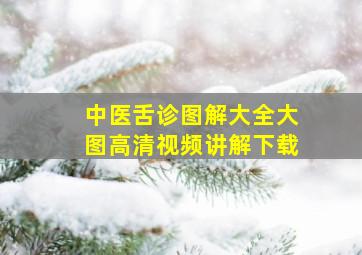 中医舌诊图解大全大图高清视频讲解下载