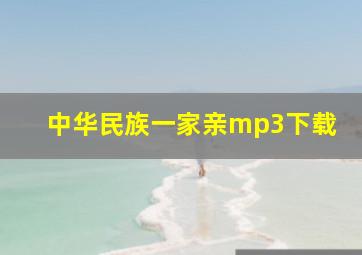 中华民族一家亲mp3下载