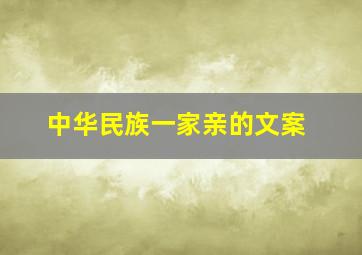 中华民族一家亲的文案