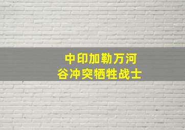 中印加勒万河谷冲突牺牲战士