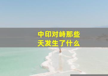 中印对峙那些天发生了什么