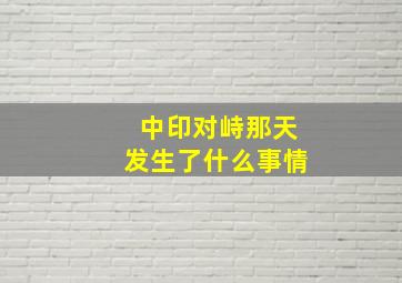 中印对峙那天发生了什么事情