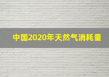 中国2020年天然气消耗量