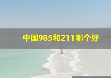 中国985和211哪个好