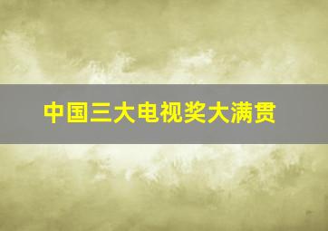 中国三大电视奖大满贯