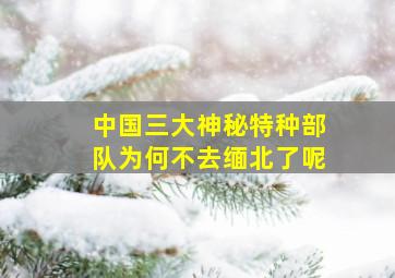 中国三大神秘特种部队为何不去缅北了呢