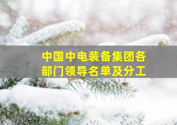 中国中电装备集团各部门领导名单及分工