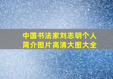 中国书法家刘志明个人简介图片高清大图大全