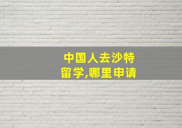 中国人去沙特留学,哪里申请