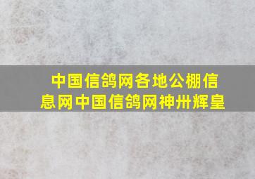 中国信鸽网各地公棚信息网中国信鸽网神卅辉皇