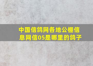 中国信鸽网各地公棚信息网信05是哪里的鸽子