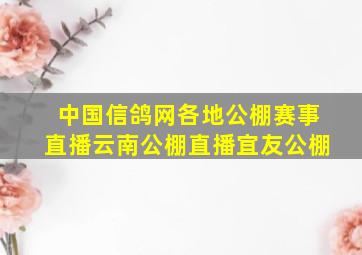 中国信鸽网各地公棚赛事直播云南公棚直播宜友公棚