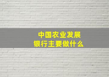 中国农业发展银行主要做什么