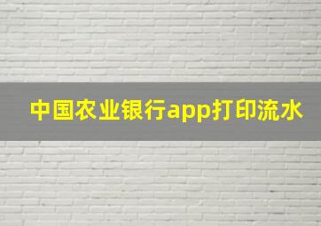 中国农业银行app打印流水