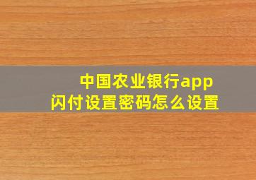 中国农业银行app闪付设置密码怎么设置