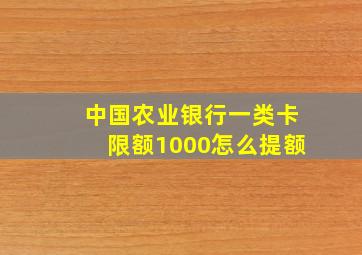 中国农业银行一类卡限额1000怎么提额