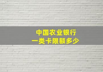 中国农业银行一类卡限额多少