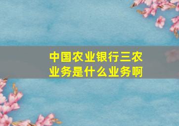 中国农业银行三农业务是什么业务啊