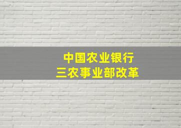 中国农业银行三农事业部改革