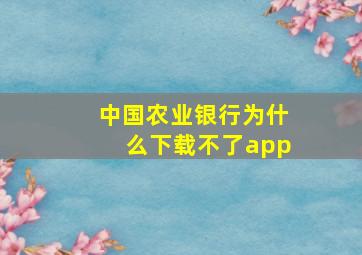 中国农业银行为什么下载不了app