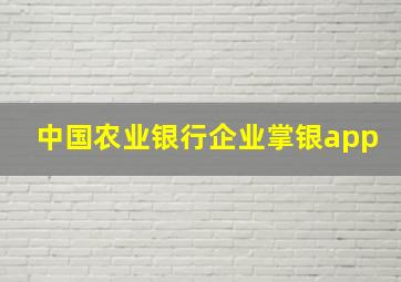 中国农业银行企业掌银app