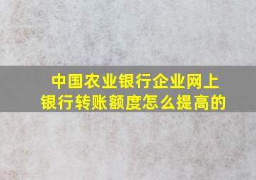 中国农业银行企业网上银行转账额度怎么提高的