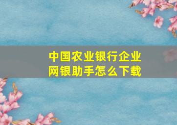 中国农业银行企业网银助手怎么下载