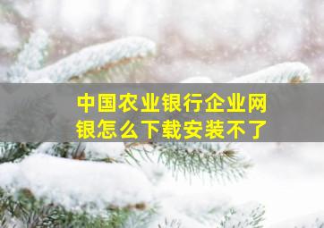 中国农业银行企业网银怎么下载安装不了