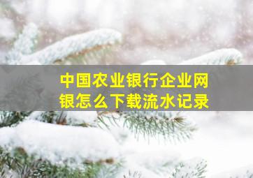 中国农业银行企业网银怎么下载流水记录