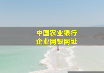 中国农业银行企业网银网址