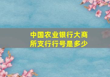 中国农业银行大商所支行行号是多少