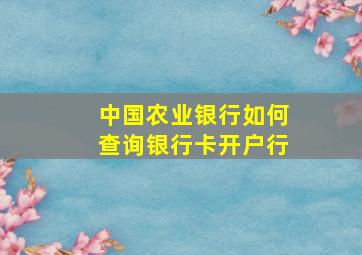 中国农业银行如何查询银行卡开户行