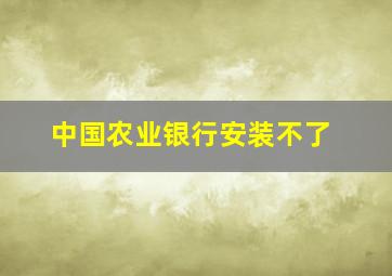 中国农业银行安装不了