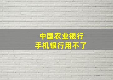 中国农业银行手机银行用不了