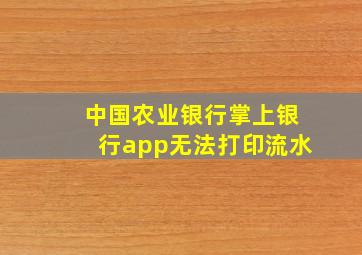 中国农业银行掌上银行app无法打印流水